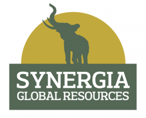 Synergia Brand, graphic design and marketing